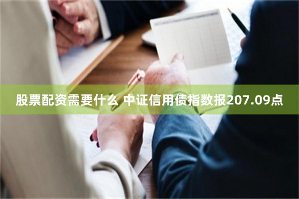 股票配资需要什么 中证信用债指数报207.09点
