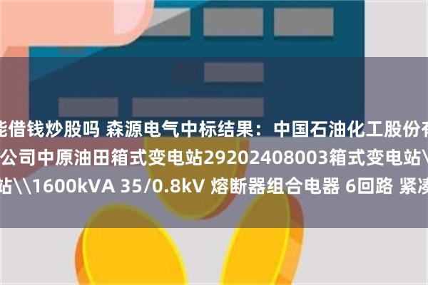 能借钱炒股吗 森源电气中标结果：中国石油化工股份有限公司中原油田分公司中原油田箱式变电站29202408003箱式变电站\1600kVA 35/0.8kV 熔断器组合电器 6回路 紧凑型招标结果公告