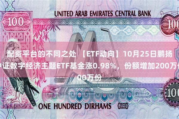 配资平台的不同之处 【ETF动向】10月25日鹏扬中证数字经济主题ETF基金涨0.98%，份额增加200万份