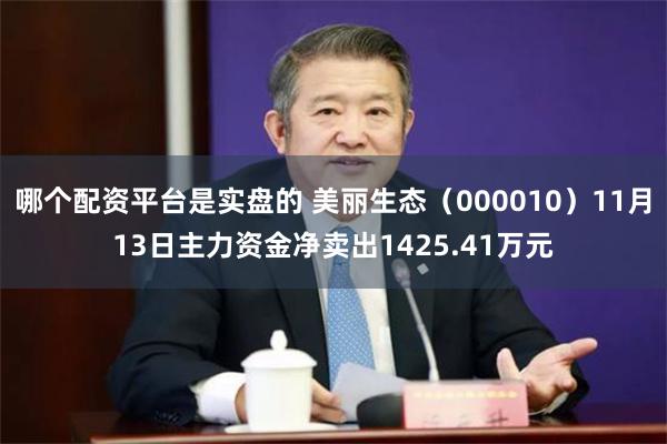 哪个配资平台是实盘的 美丽生态（000010）11月13日主力资金净卖出1425.41万元