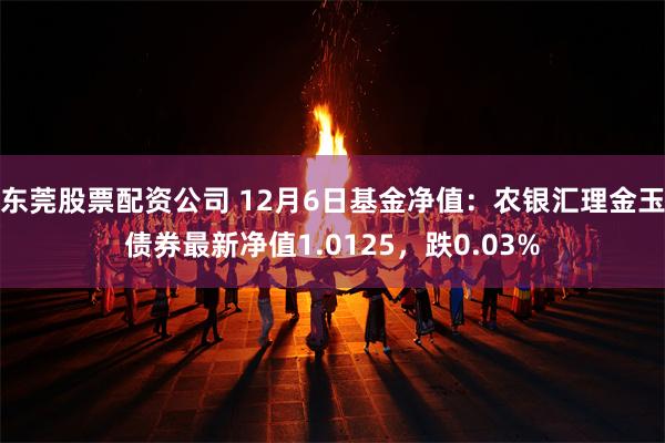 东莞股票配资公司 12月6日基金净值：农银汇理金玉债券最新净值1.0125，跌0.03%