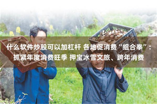 什么软件炒股可以加杠杆 各地促消费“组合拳”：抓紧年度消费旺季 押宝冰雪文旅、跨年消费