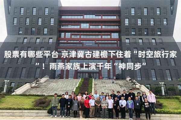 股票有哪些平台 京津冀古建檐下住着“时空旅行家”！雨燕家族上演千年“神同步”