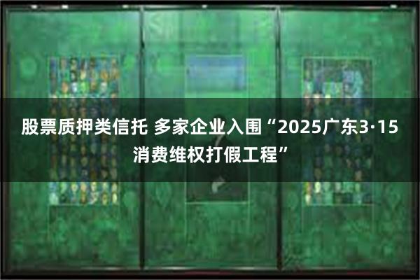 股票质押类信托 多家企业入围“2025广东3·15消费维权打假工程”