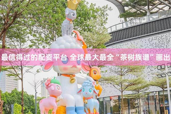 最信得过的配资平台 全球最大最全“茶树族谱”画出