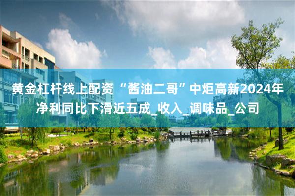 黄金杠杆线上配资 “酱油二哥”中炬高新2024年净利同比下滑近五成_收入_调味品_公司