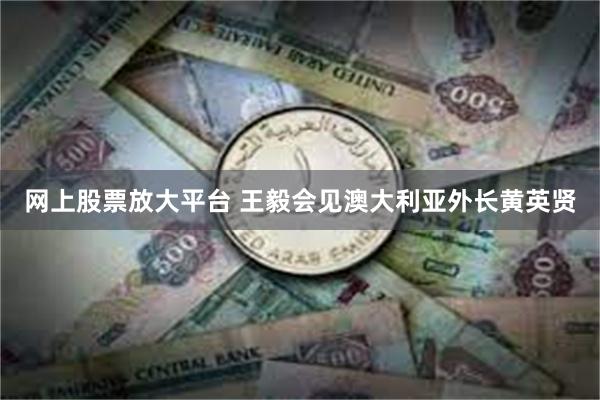 网上股票放大平台 王毅会见澳大利亚外长黄英贤