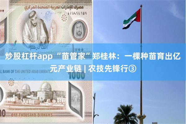 炒股杠杆app “苗管家”郑桂林：一棵种苗育出亿元产业链 | 农技先锋行③