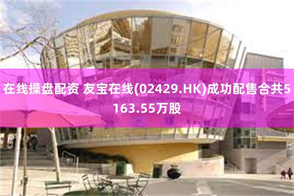 在线操盘配资 友宝在线(02429.HK)成功配售合共5163.55万股