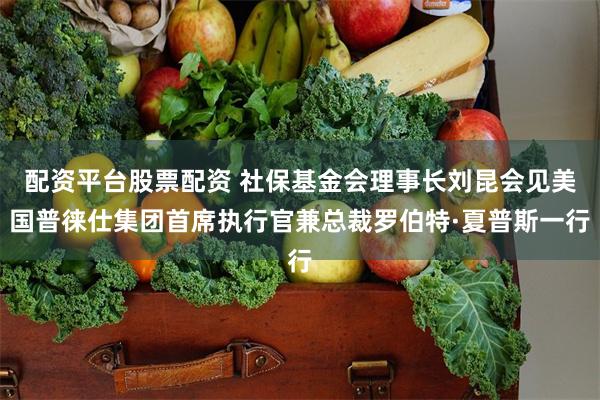 配资平台股票配资 社保基金会理事长刘昆会见美国普徕仕集团首席执行官兼总裁罗伯特·