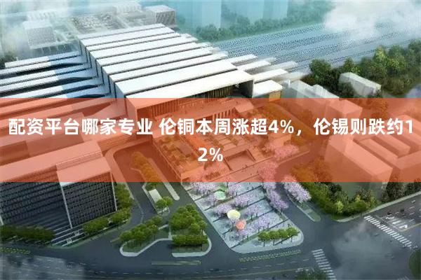 配资平台哪家专业 伦铜本周涨超4%，伦锡则跌约12%