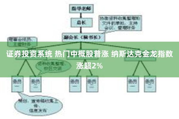 证券投资系统 热门中概股普涨 纳斯达克金龙指数涨超2%