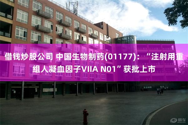 借钱炒股公司 中国生物制药(01177)：“注射用重组人凝血因子VIIA N01