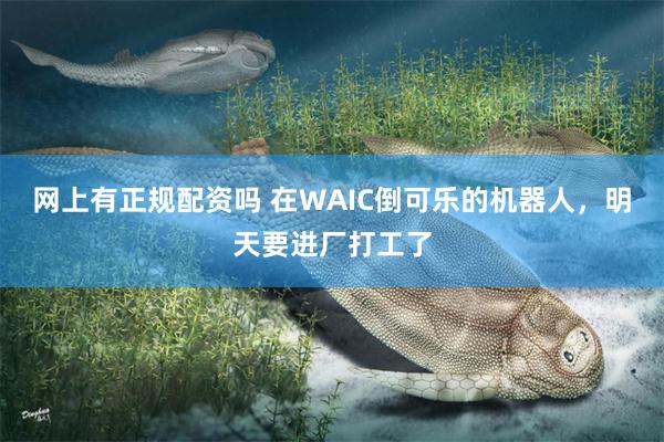网上有正规配资吗 在WAIC倒可乐的机器人，明天要进厂打工了