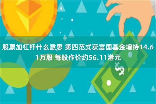 股票加杠杆什么意思 第四范式获富国基金增持14.61万股 每股作价约56.11港