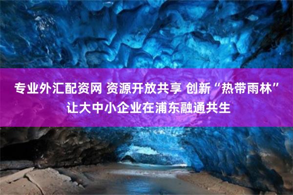 专业外汇配资网 资源开放共享 创新“热带雨林” 让大中小企业在浦东融通共生