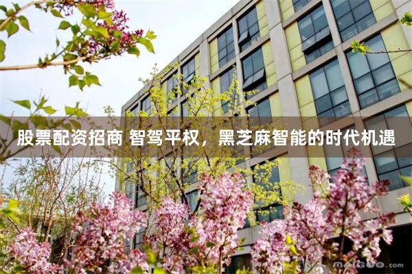 股票配资招商 智驾平权，黑芝麻智能的时代机遇